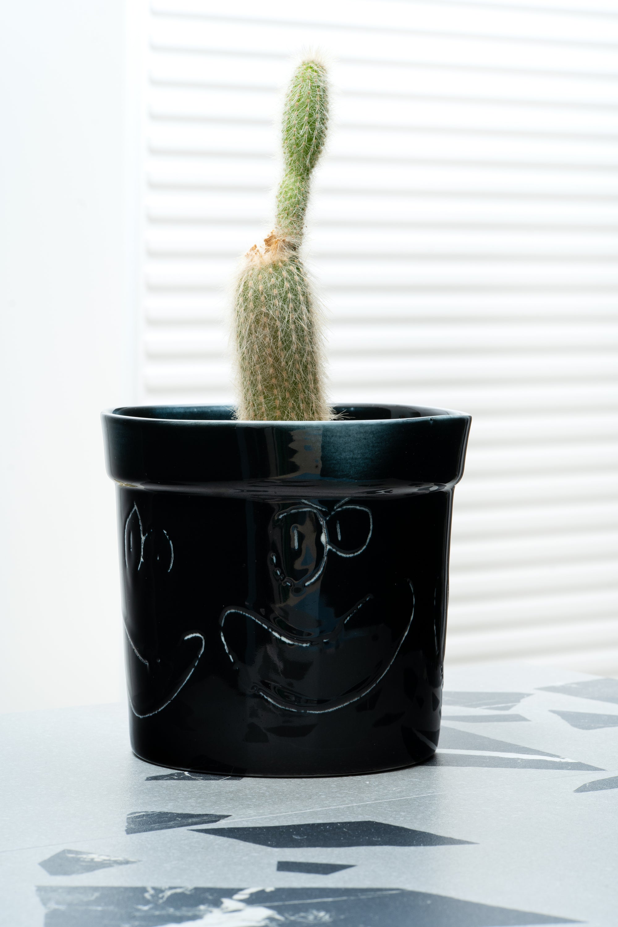 Black Moss Planter