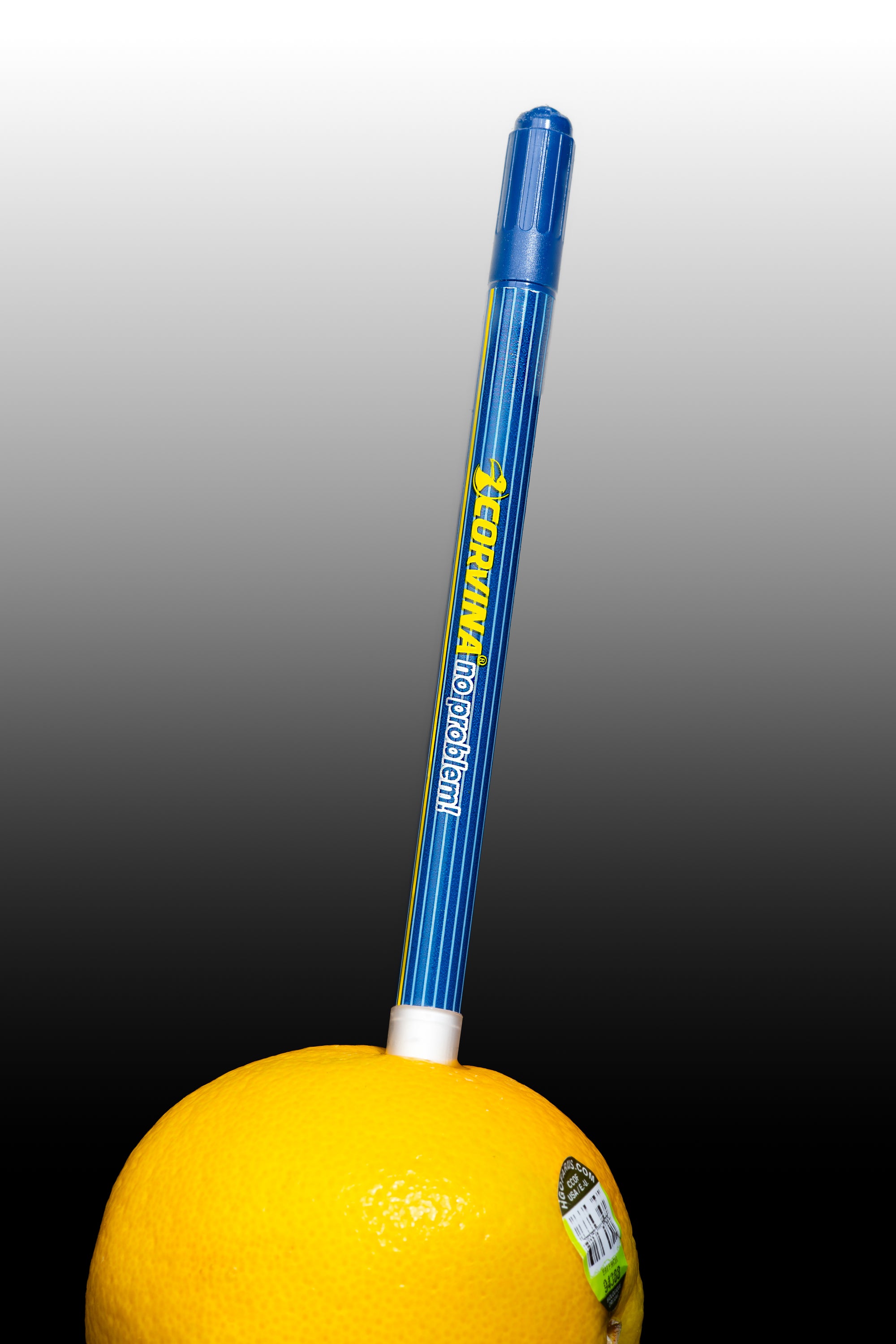 No Problem Pen