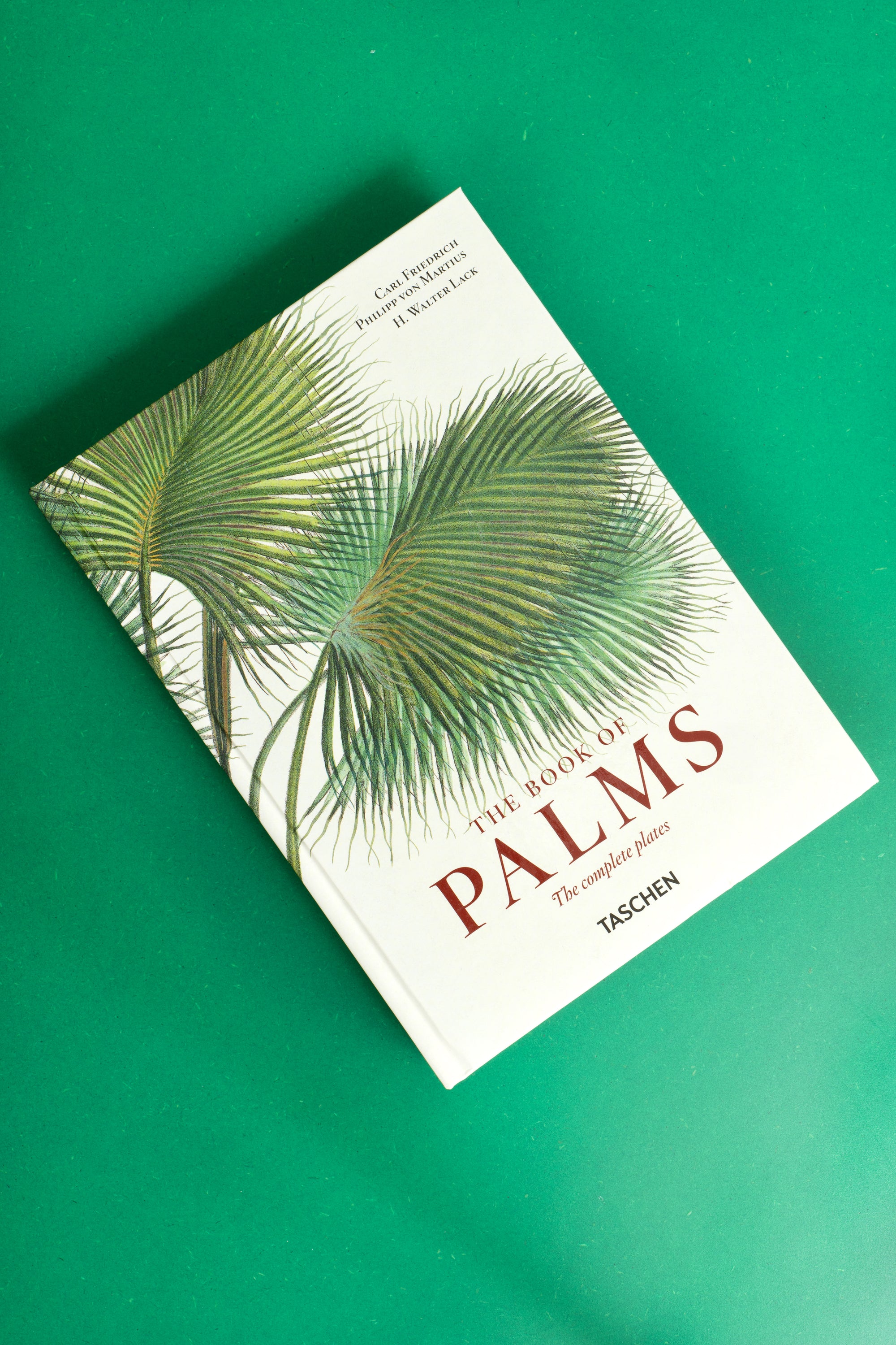 The Book of Palms. 40th Ed.