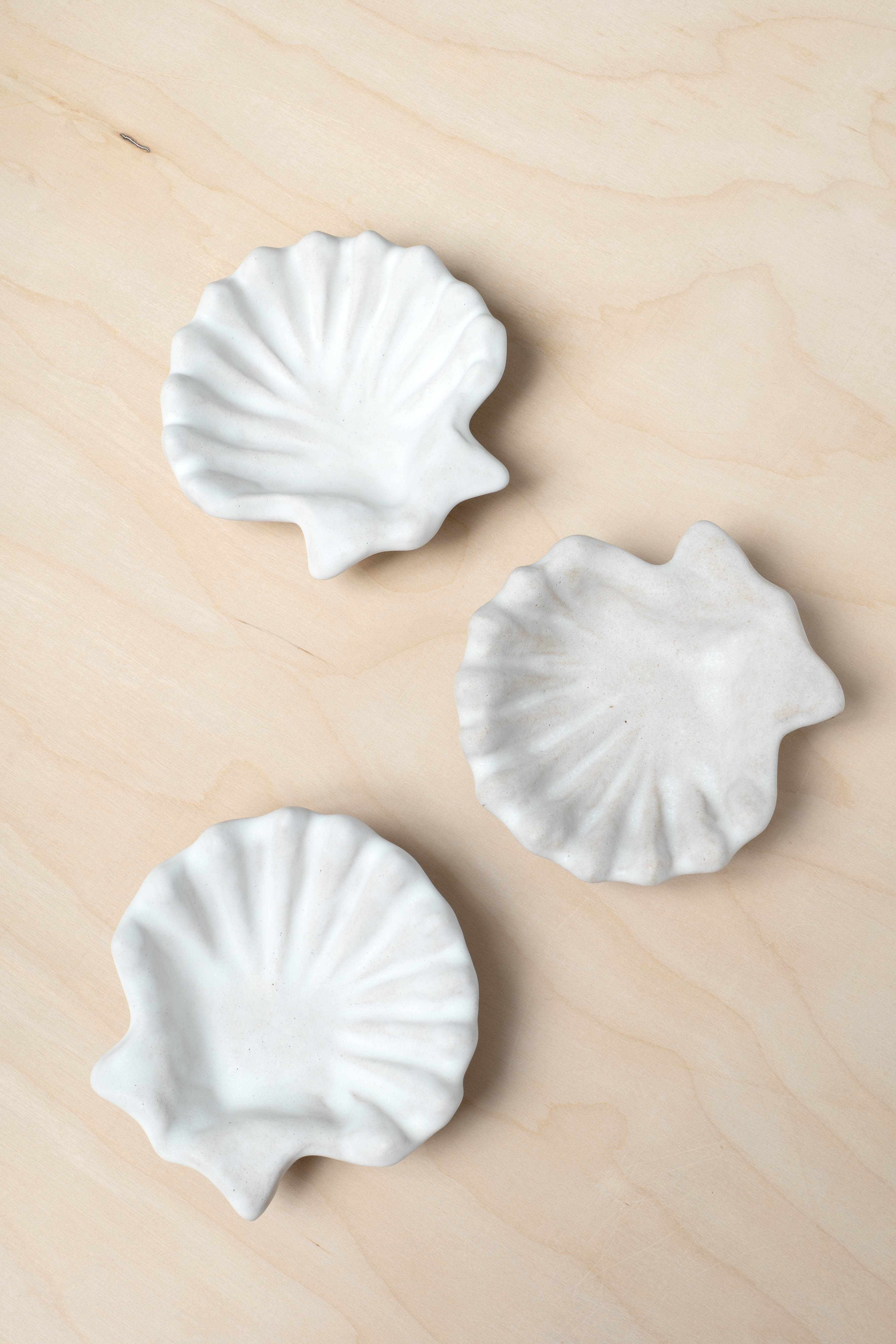 Beau Rush Ceramics Ariel Shell Dish