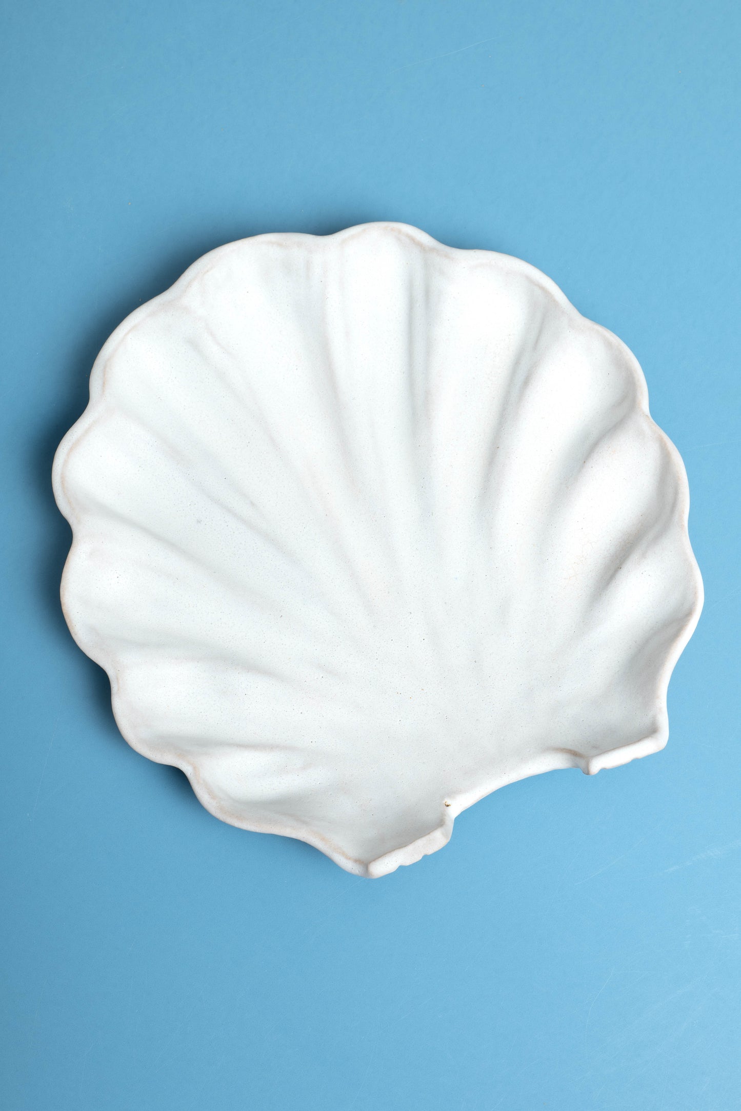 Large Shell Platter
