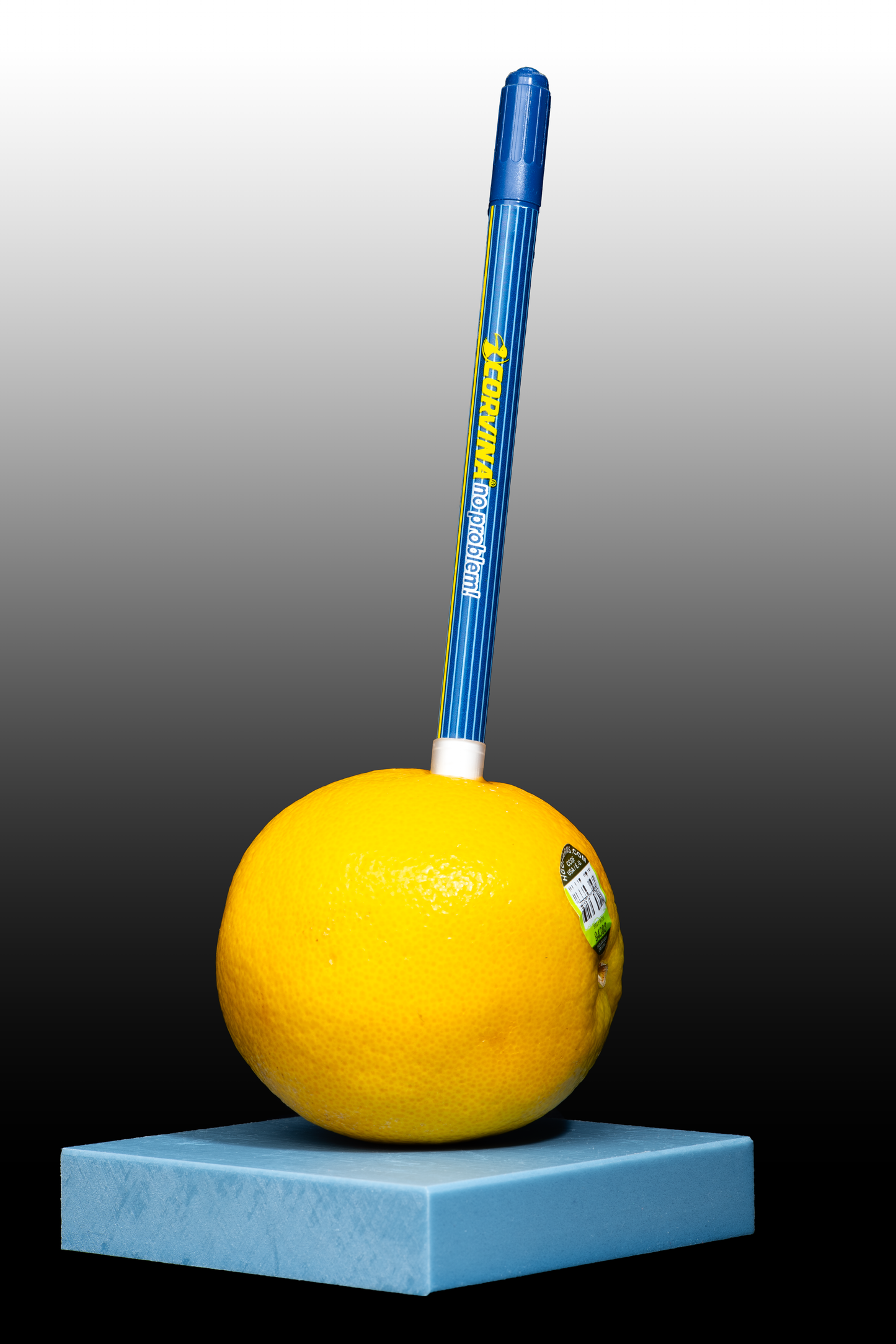 No Problem Pen