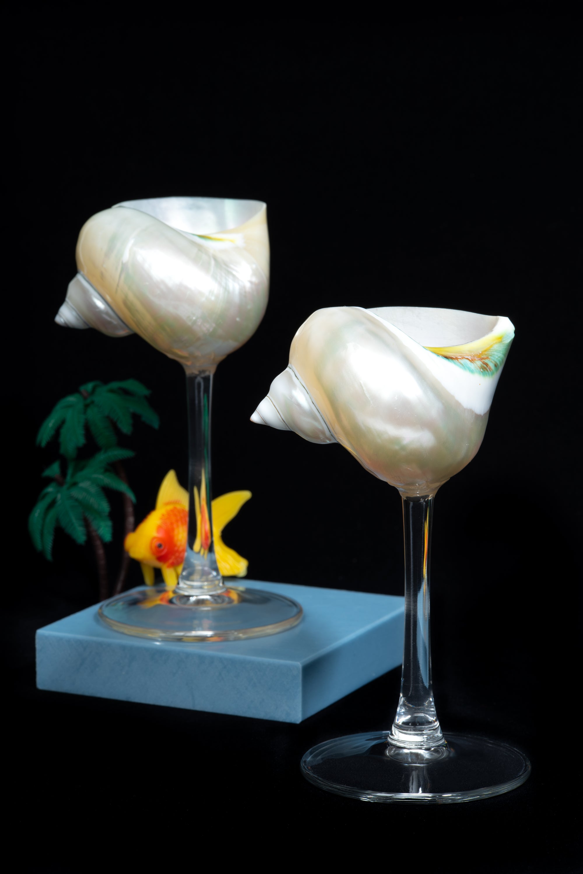 Curly Shell Glass