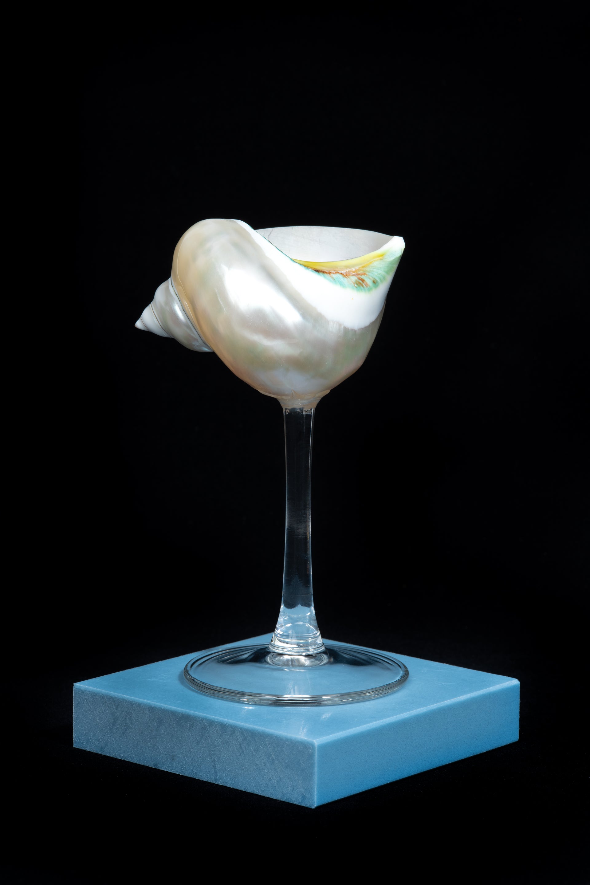 Curly Shell Glass