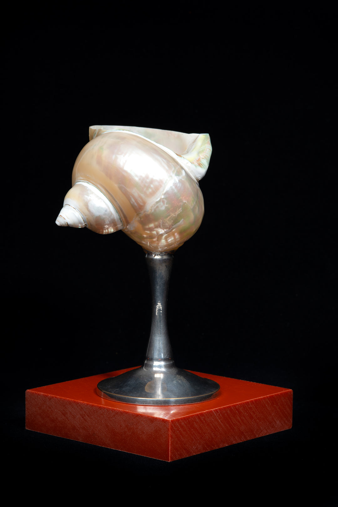 Curly Shell Glass
