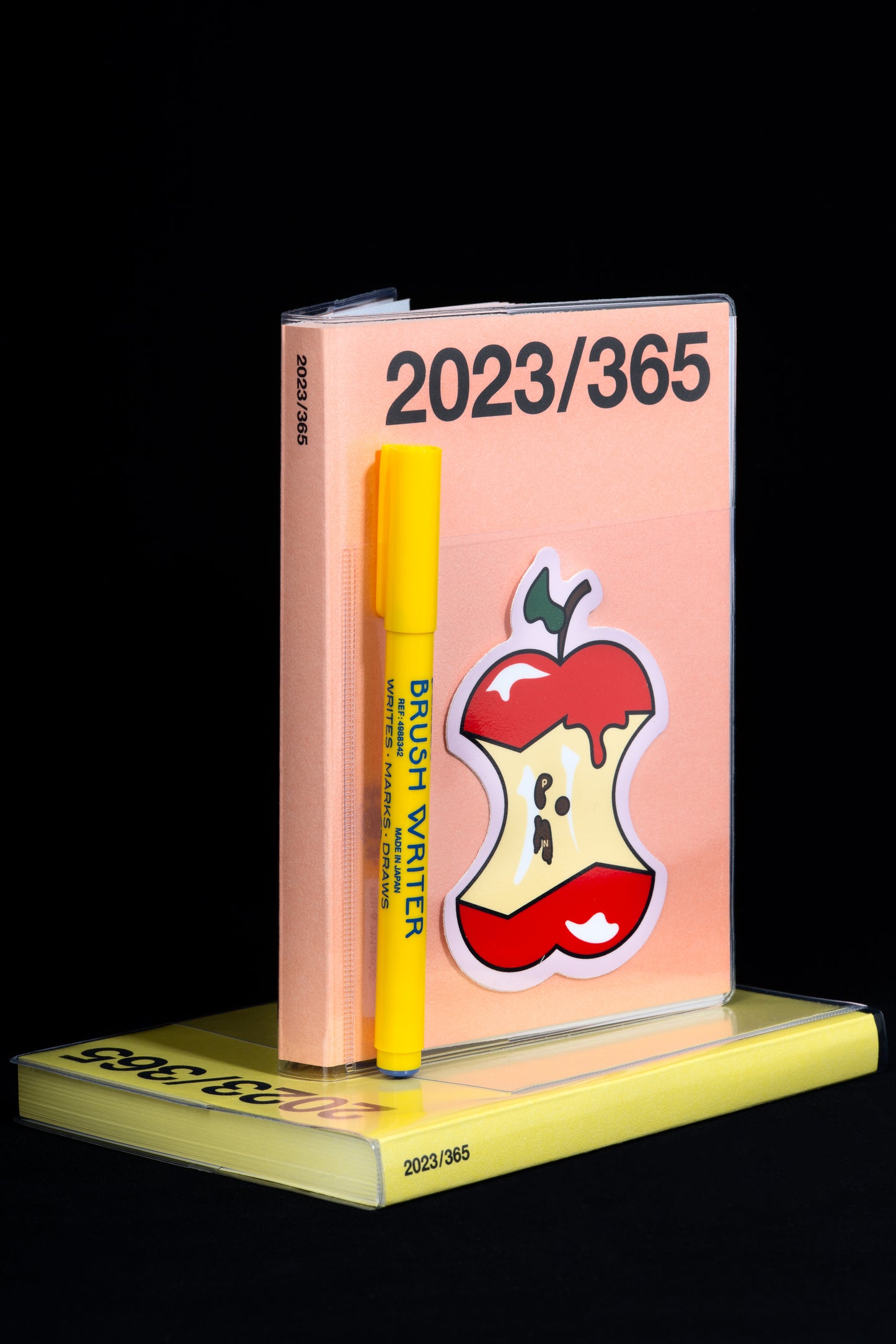 2023 Basic Diary
