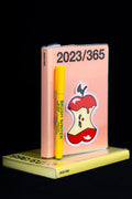 2023 Basic Diary