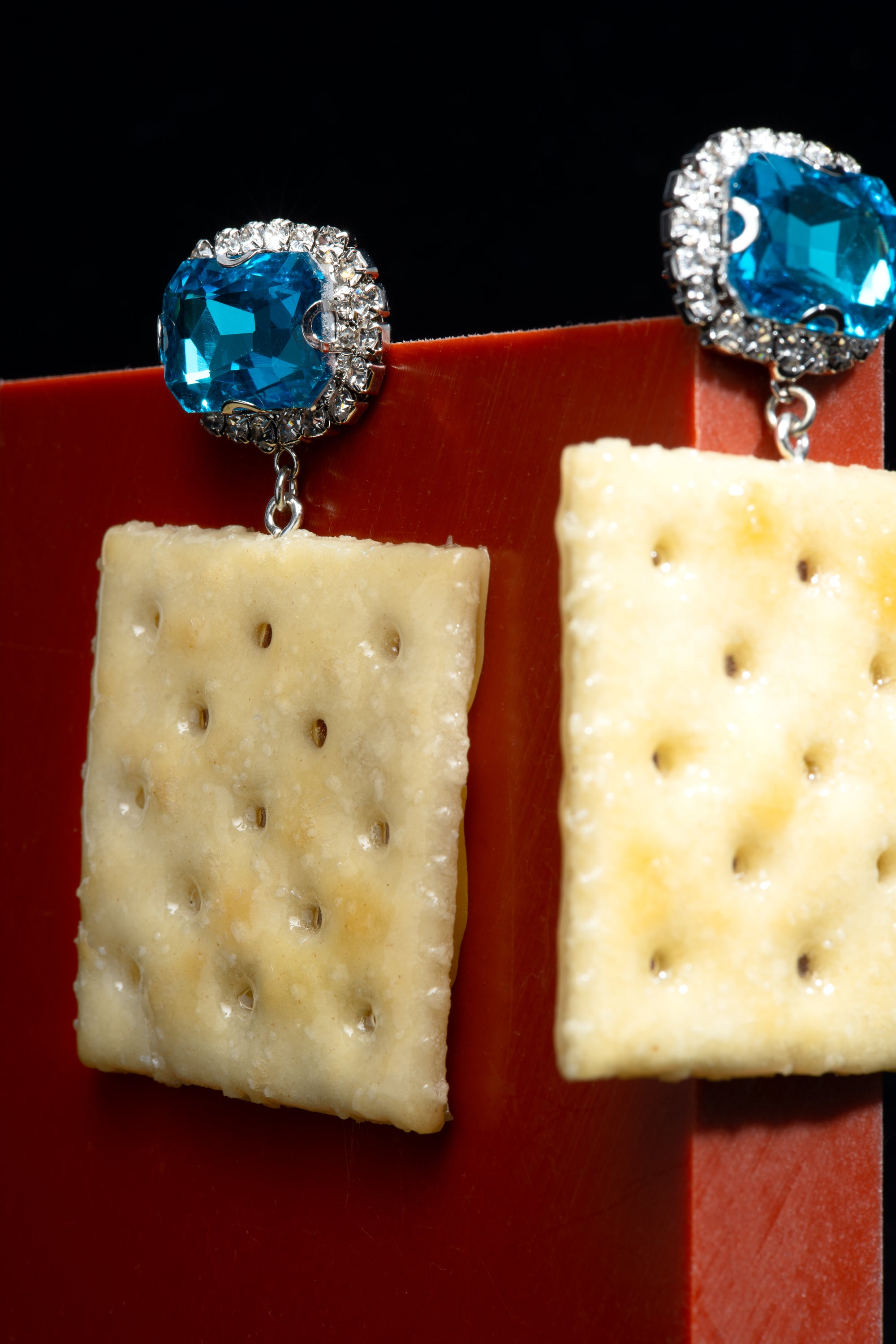 
    
        Saltine Cracker Earrings
    
  
