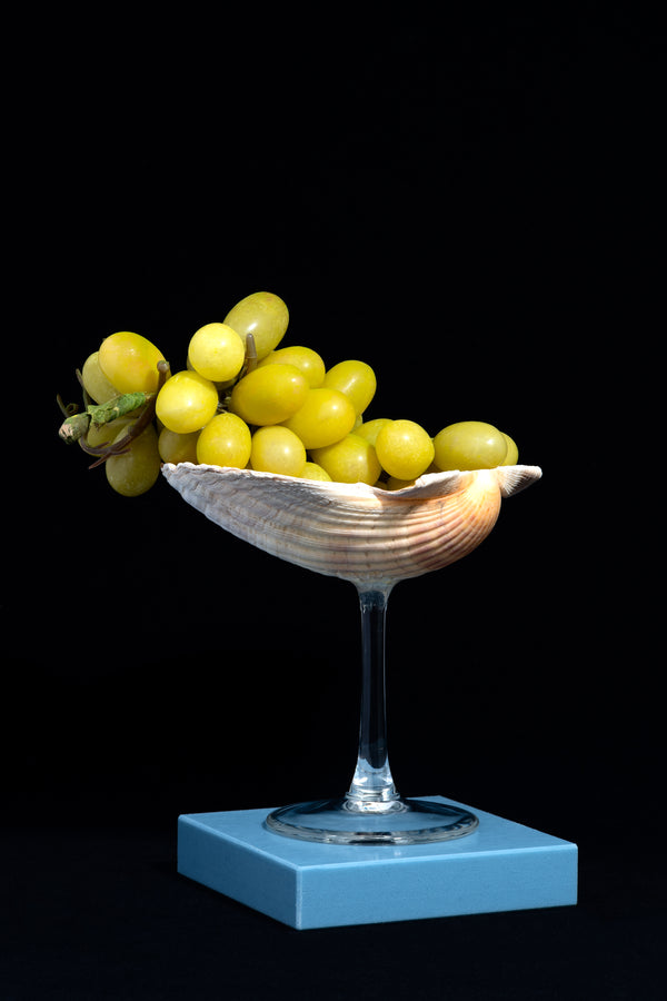 Shell Glass