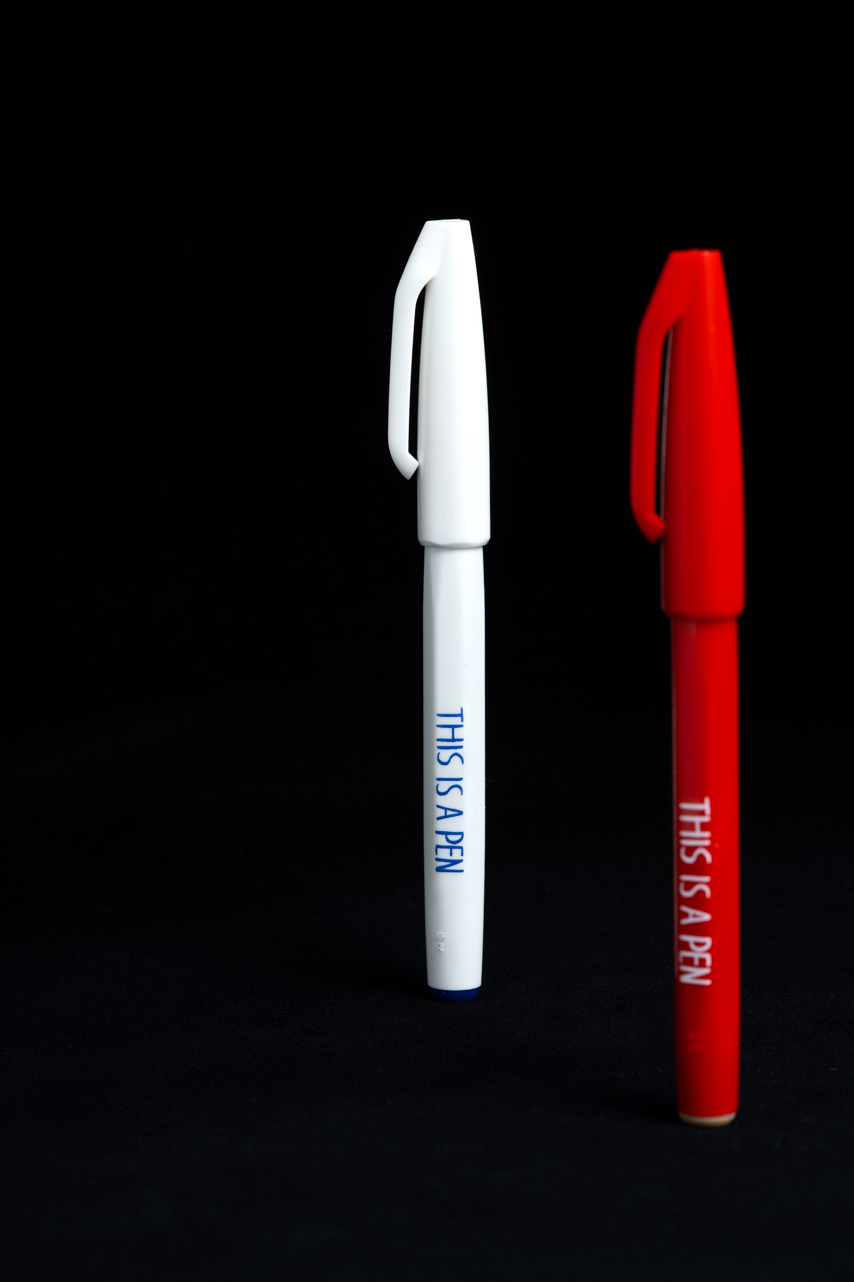 Pen/ THIS IS A PEN (NORITAKE) | $6.00