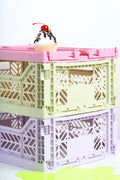 Midi Colour Crate